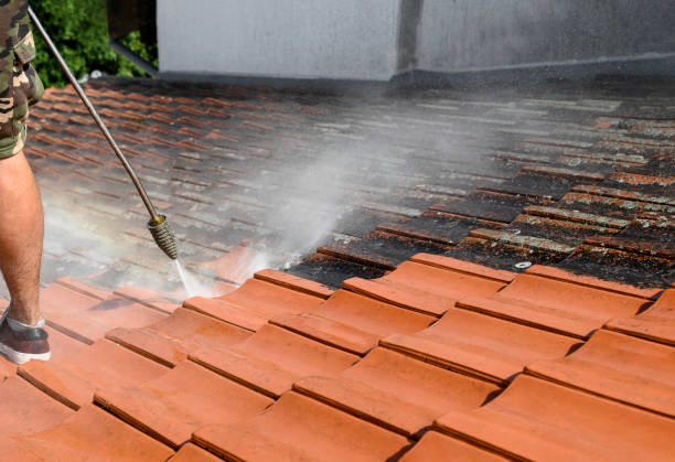 Best Best Pressure Washing Companies  in Bristol, IN