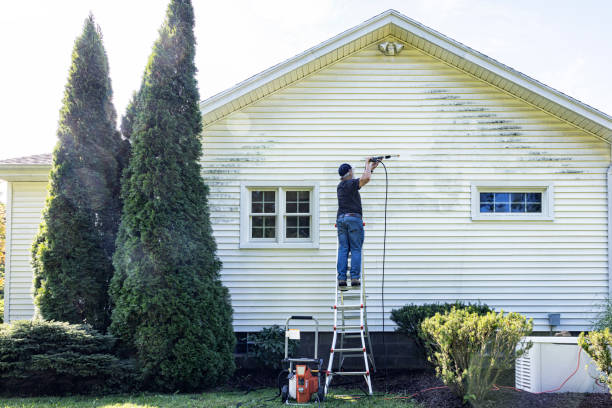 Best Roof Pressure Washing  in Bristol, IN