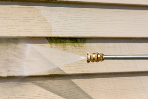 Best Local Pressure Washing Services  in Bristol, IN